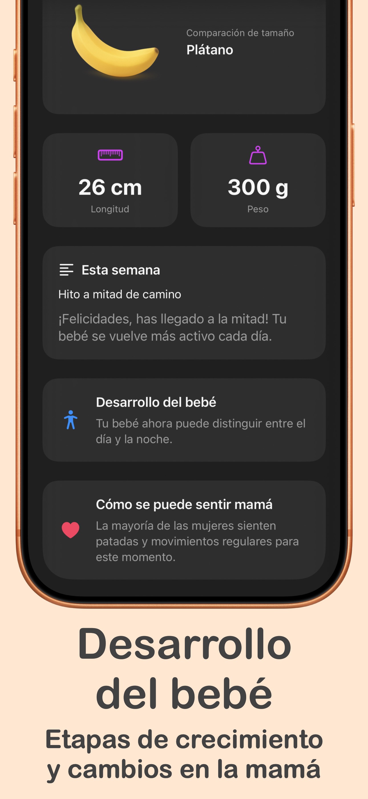 Información del desarrollo del bebé y comparación de tamaño